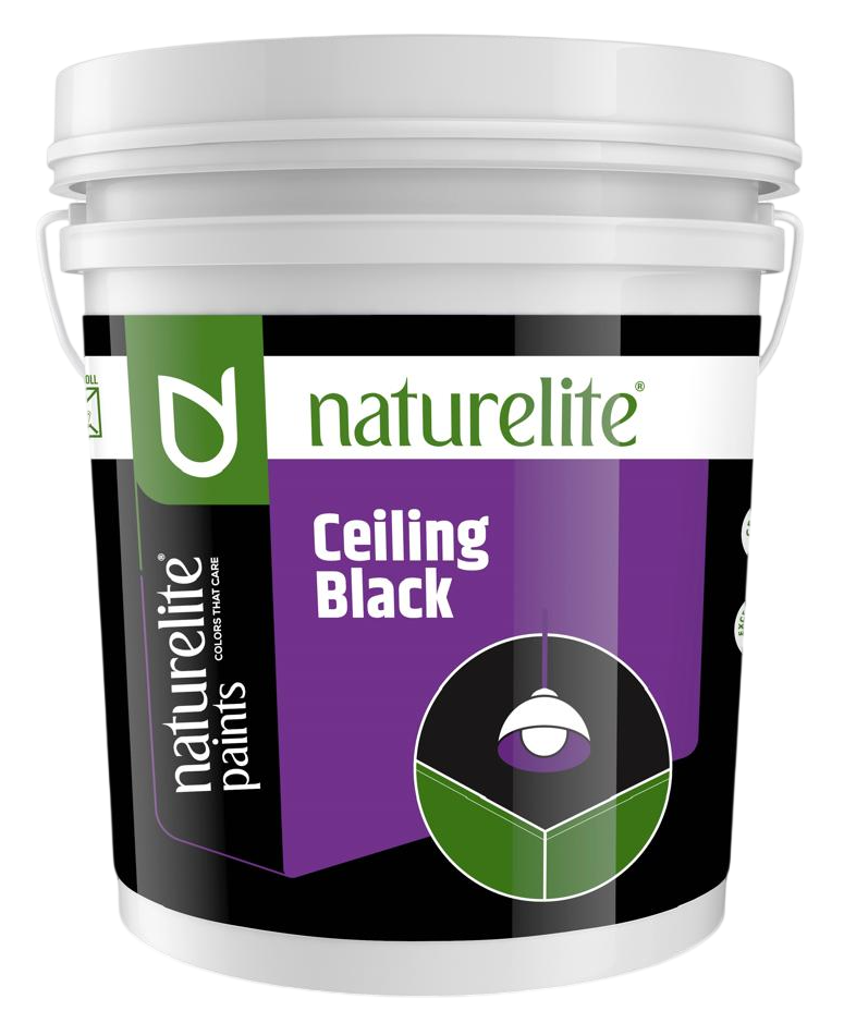 CEILING BLACK