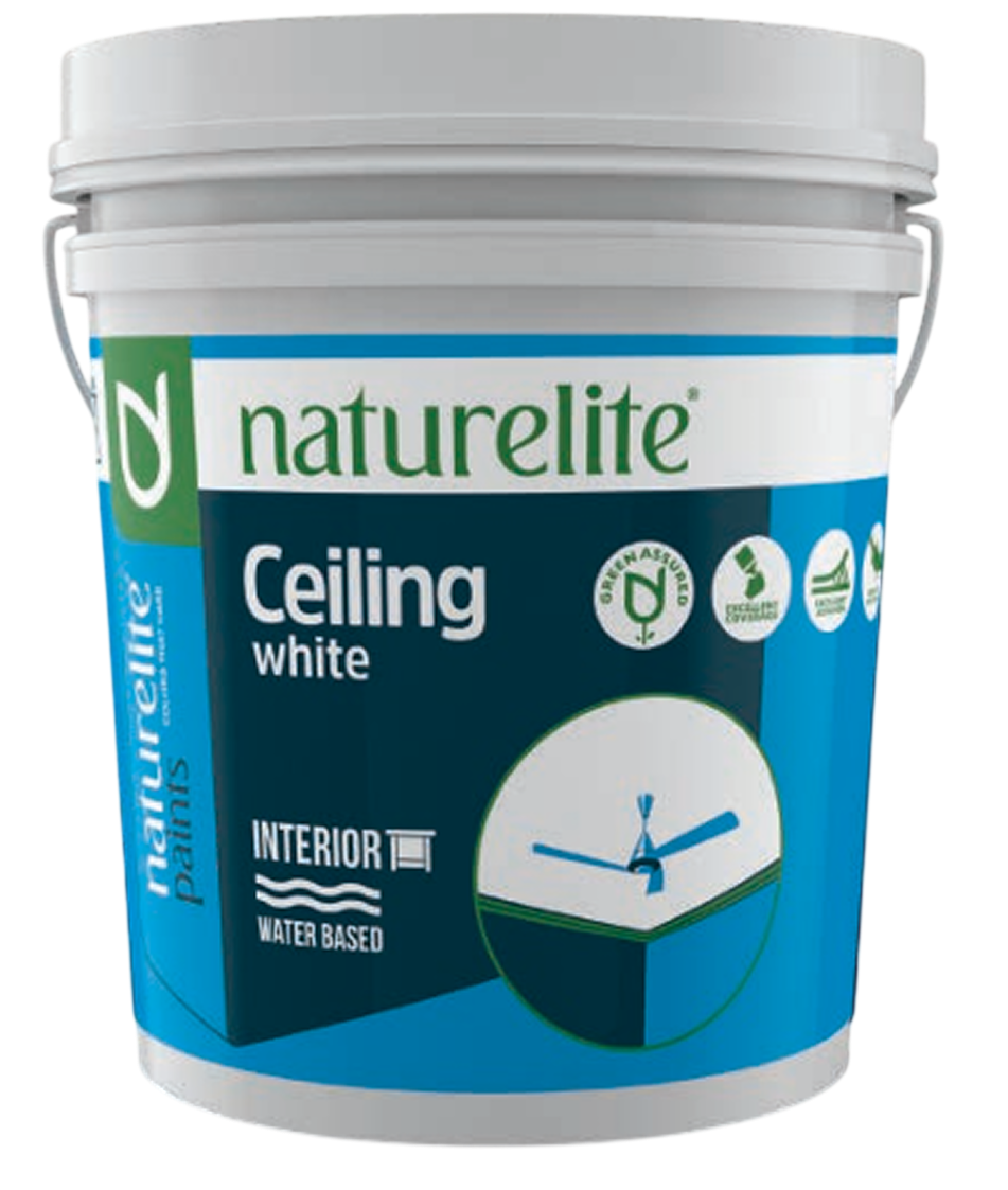 CEILING WHITE